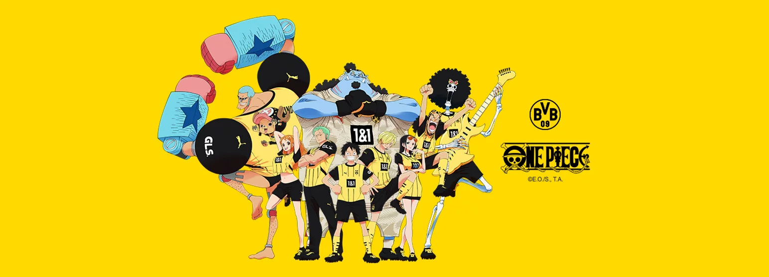 Borussia Dortmund Collaboration